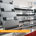 Hot Selling A Frame Automatic Battery Poultry Equipment for Layer